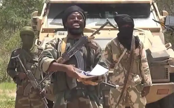 Boko Haram: Troops kill two terrorists in Borno
